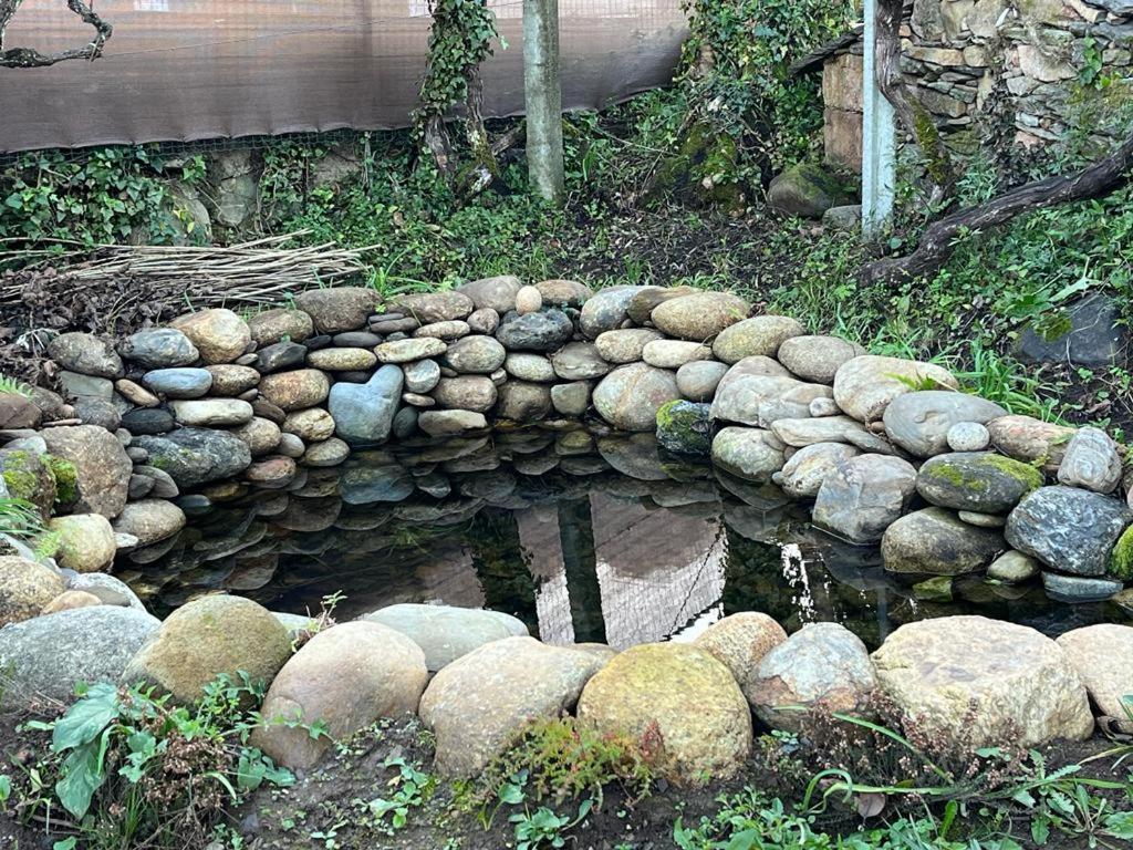 Casa Do Adro-Passadicos Do Paiva Arouca Villa Eksteriør billede