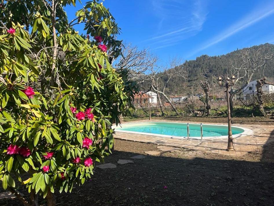 Casa Do Adro-Passadicos Do Paiva Arouca Villa Eksteriør billede